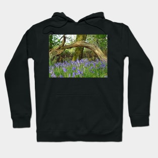 Bluebells under Deadwood Hoodie